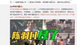 风雨无阻卓伟爆料视频大全,揭秘娱乐圈幕后真相