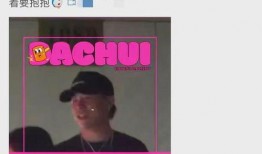 刘大锤爆料过程视频,揭秘事件真相