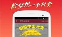 网易最新爆料预测网站,揭秘网站未来趋势与预测