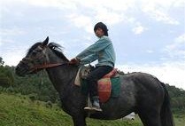 马配马视频在线观看