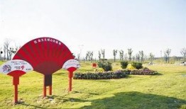 周口森林公园爆料视频,探秘自然奇观，生态美景尽收眼底