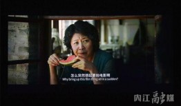 电影区在线观看,电影区在线观影指南