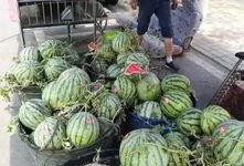 盘锦网红吃瓜事件,一场网络狂欢背后的真相揭秘