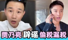 嘎子爆料贾乃亮视频播放,揭秘背后真相