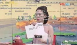 泰国灰产爆料大王视频大全,灰产爆料大王视频大全深度解析