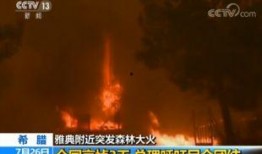 美国火灾幸存者爆料视频,惊心动魄的生死瞬间