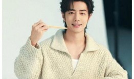 杨紫肖战娱乐圈爆料,揭秘明星幕后故事