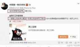 风雨无阻卓伟爆料视频大全,揭秘娱乐圈幕后真相