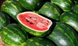 网红吃瓜走红图片大全,盘点那些爆笑走红瞬间