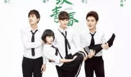 至青春电视剧在线观看,青春岁月里的青春记忆