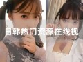 高清日韩视频在线观看,高清日韩视频在线观看指南