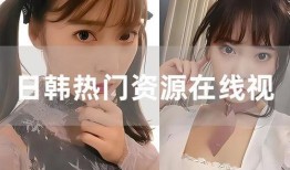 高清日韩视频在线观看,高清日韩视频在线观看指南