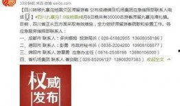 四川讨薪新闻爆料电话号码,揭秘爆料电话背后的维权真相