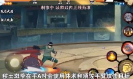 最新忍者全技能爆料