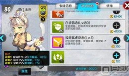 新世界卡牌爆料怎么做视频,探秘神秘卡牌，解锁游戏新篇章