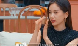 王子文娱乐爆料视频合集,揭秘明星幕后故事