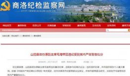 商洛市新闻爆料电话查询,市民关注热点事件追踪