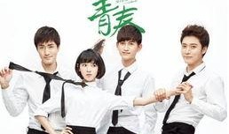至青春电视剧在线观看,青春岁月里的青春记忆