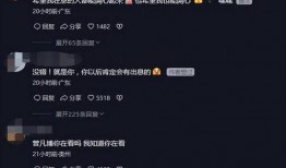 菠萝酱爆料视频,视频爆料背后的惊人真相