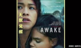 夜猫子电影在线观看,深夜观影新体验