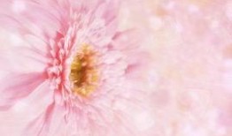 爱的怒放在线观看,一场跨越时空的深情演绎