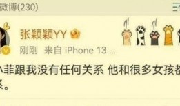 孟赫爆料张颖颖视频大全,真相与争议全解析