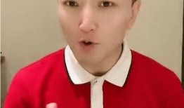 公安主持人爆料视频播放,真实事件背后的惊人真相