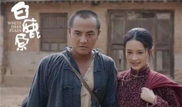 电视剧白鹿原 在线观看,穿越历史的长河，探寻家族命运之谜