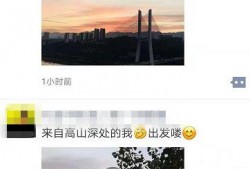 晨曦视频爆料,揭秘事件背后惊人真相