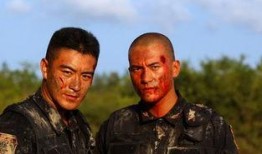 樊昊仑爆料赫子铭视频,真相背后引人深思