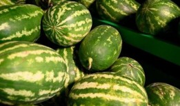 盘锦网红吃瓜事件,一场网络狂欢背后的真相揭秘