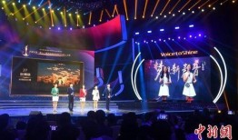 海峡两岸视频在线观看,云端共赏文化瑰宝