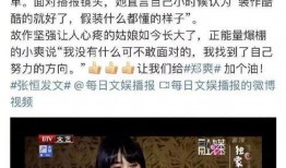 郑爽被谁爆料录音视频,揭秘背后爆料者的神秘身份