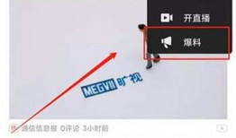 怎么拍爆料视频赚钱,轻松拍出热门视频，月入过万不是梦