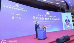 海峡两岸视频在线观看,云端共赏文化瑰宝