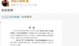 爆料新闻小杨哥