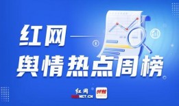 新闻爆料最新,官方调查结果即将揭晓”