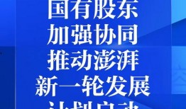 新闻爆料最新,官方调查结果即将揭晓”