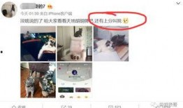 网红圈吃瓜爆料是真的吗,真相还是谣言？