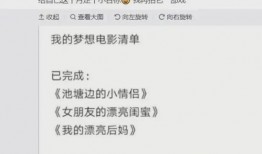 导演亲自爆料视频播放网站,视频播放网站背后的秘密大公开