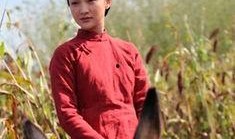 电视剧红高粱在线观看,激情燃烧的岁月，热血沸腾的传奇