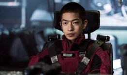 今日爆料屈楚萧