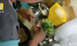 外卖料理包爆料视频大全,视频大全带你探秘后厨真相