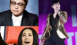 综艺歌手爆料视频,幕后故事与真实心声