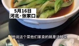 爆料学生烂菜视频,学生曝光惊人视频揭露后厨黑幕