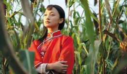 电视剧红高粱在线观看,激情燃烧的岁月，热血沸腾的传奇