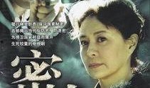 在线观看谍战,揭秘在线谍战背后的秘密世界