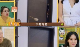 爆料妈妈出场视频完整版,育儿真相与感人瞬间