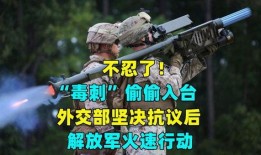 毒刺行动在线观看,揭秘神秘特种部队的惊险征程