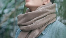 杨紫肖战娱乐圈爆料,揭秘明星幕后故事